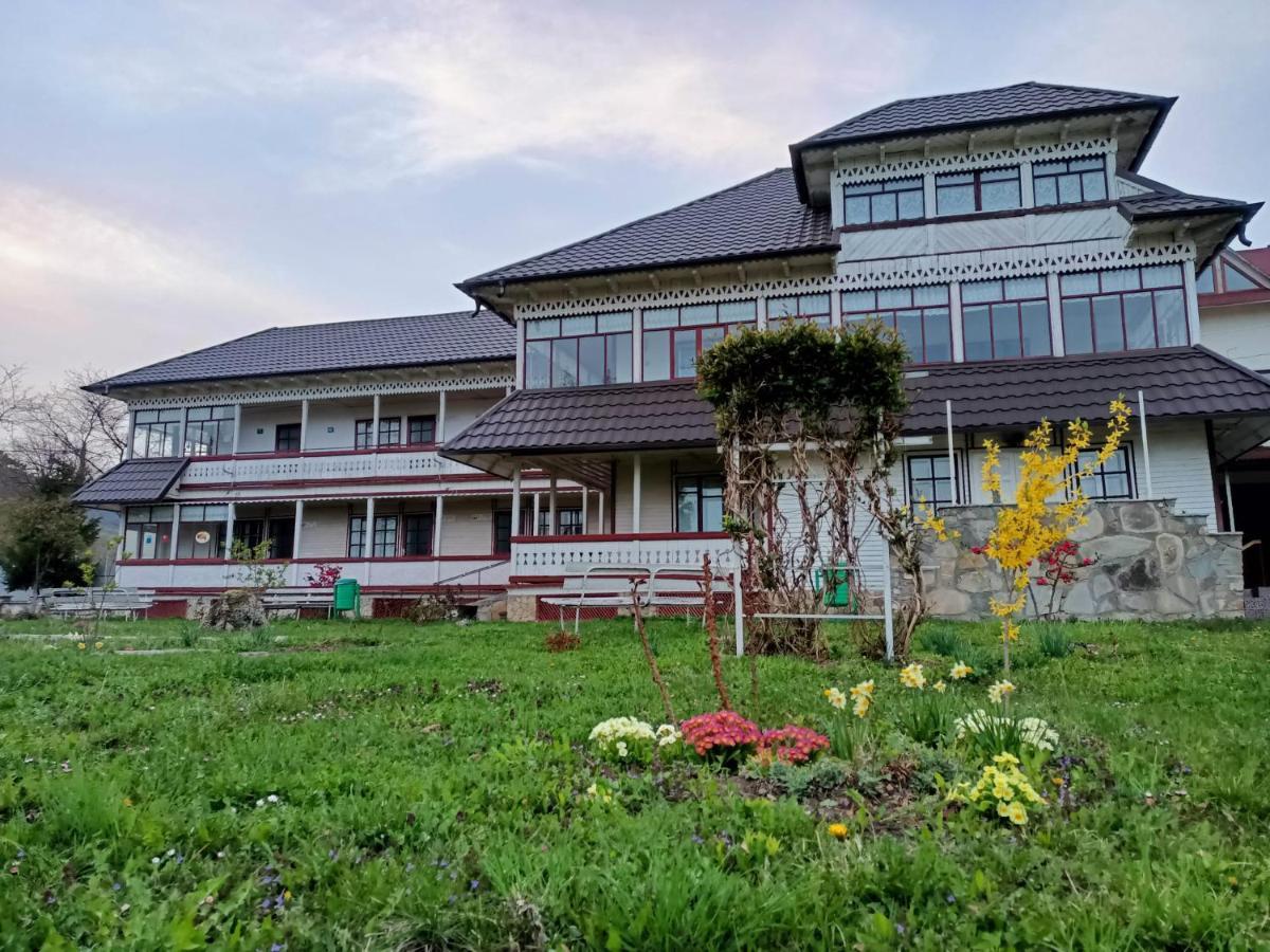 Villa Padurea De Argint Văratec Exterior foto