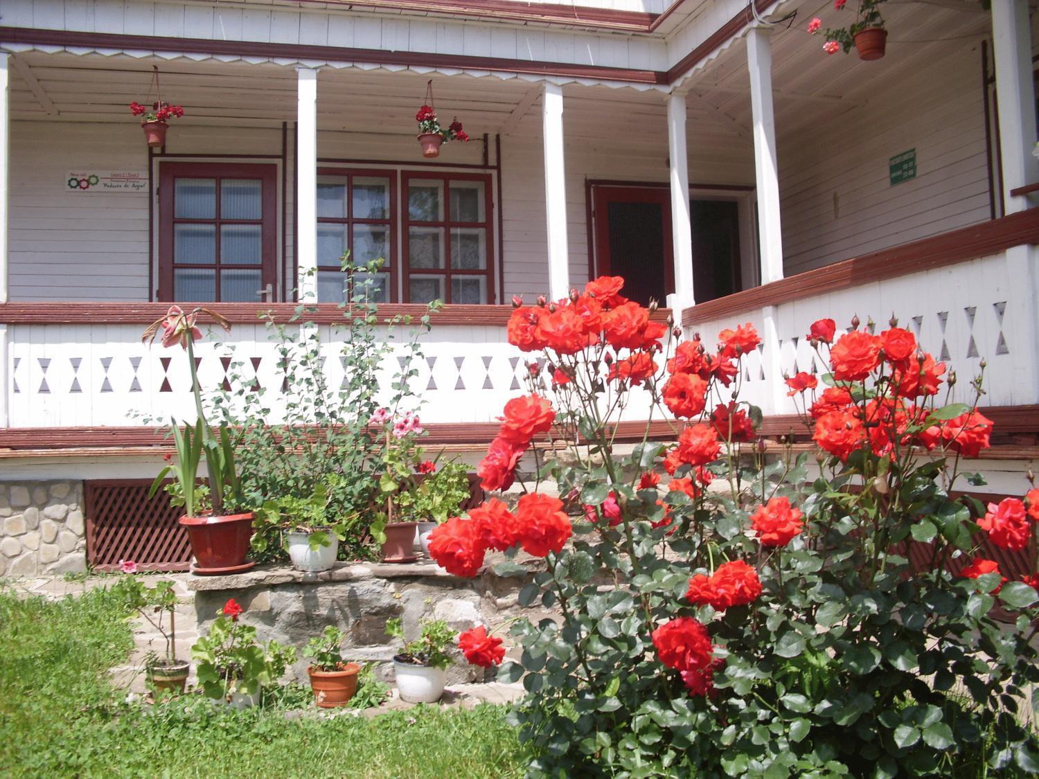 Villa Padurea De Argint Văratec Exterior foto