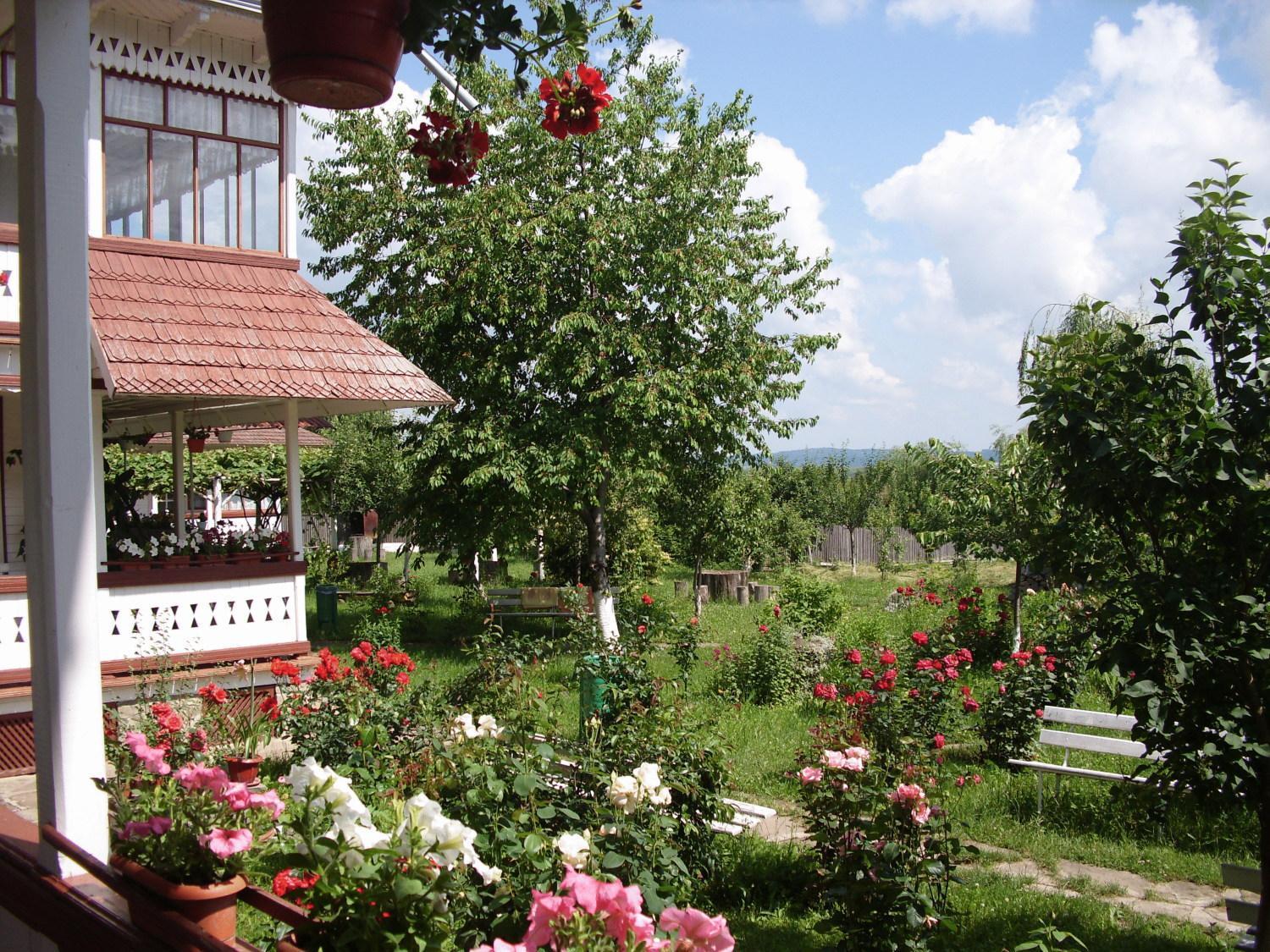 Villa Padurea De Argint Văratec Exterior foto