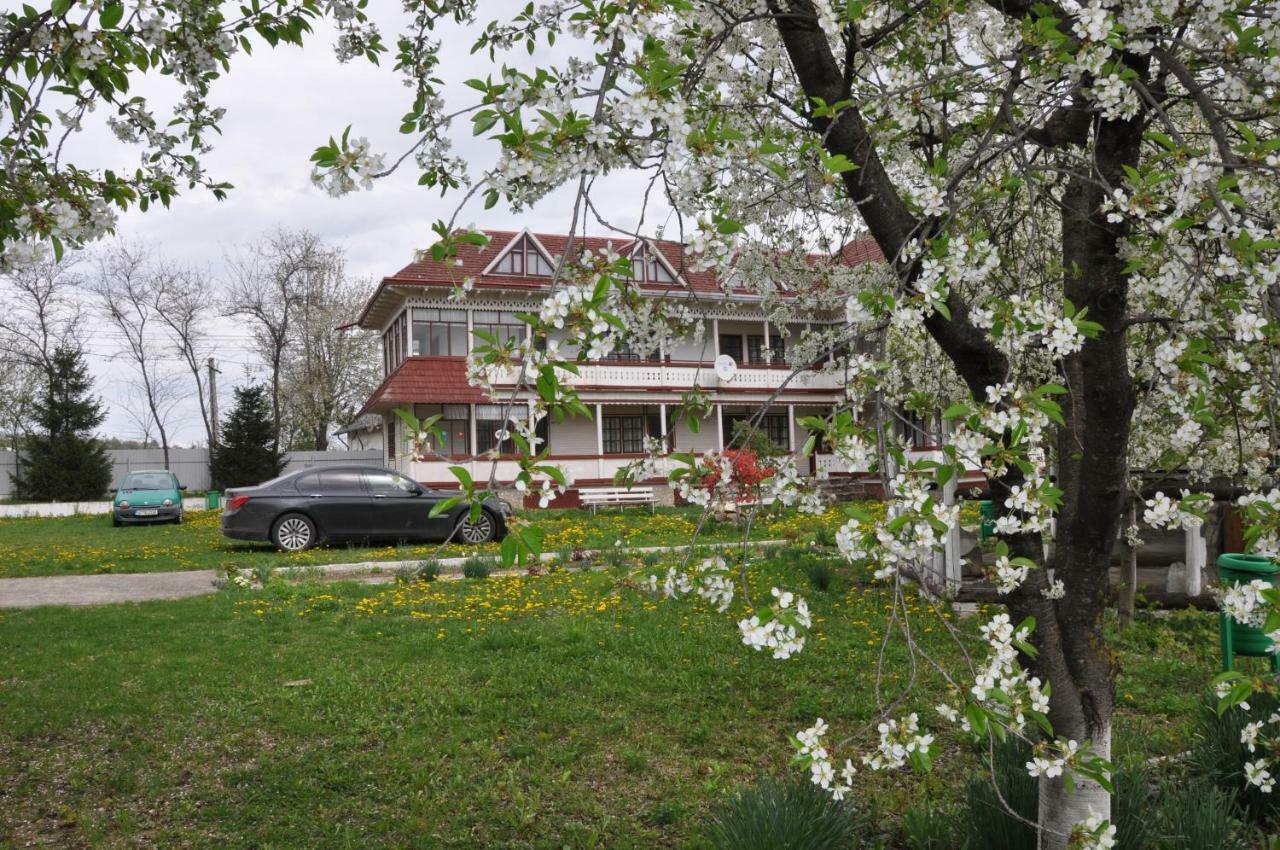 Villa Padurea De Argint Văratec Exterior foto