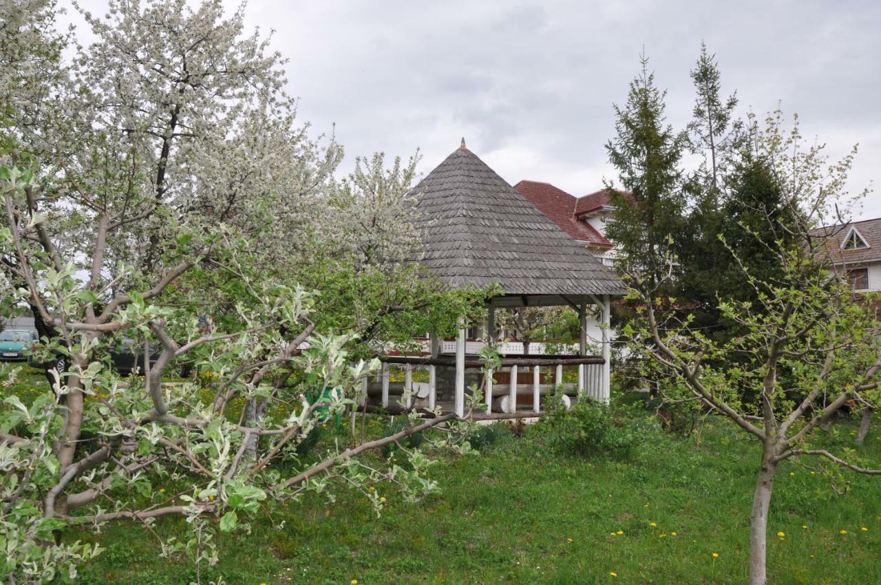 Villa Padurea De Argint Văratec Exterior foto